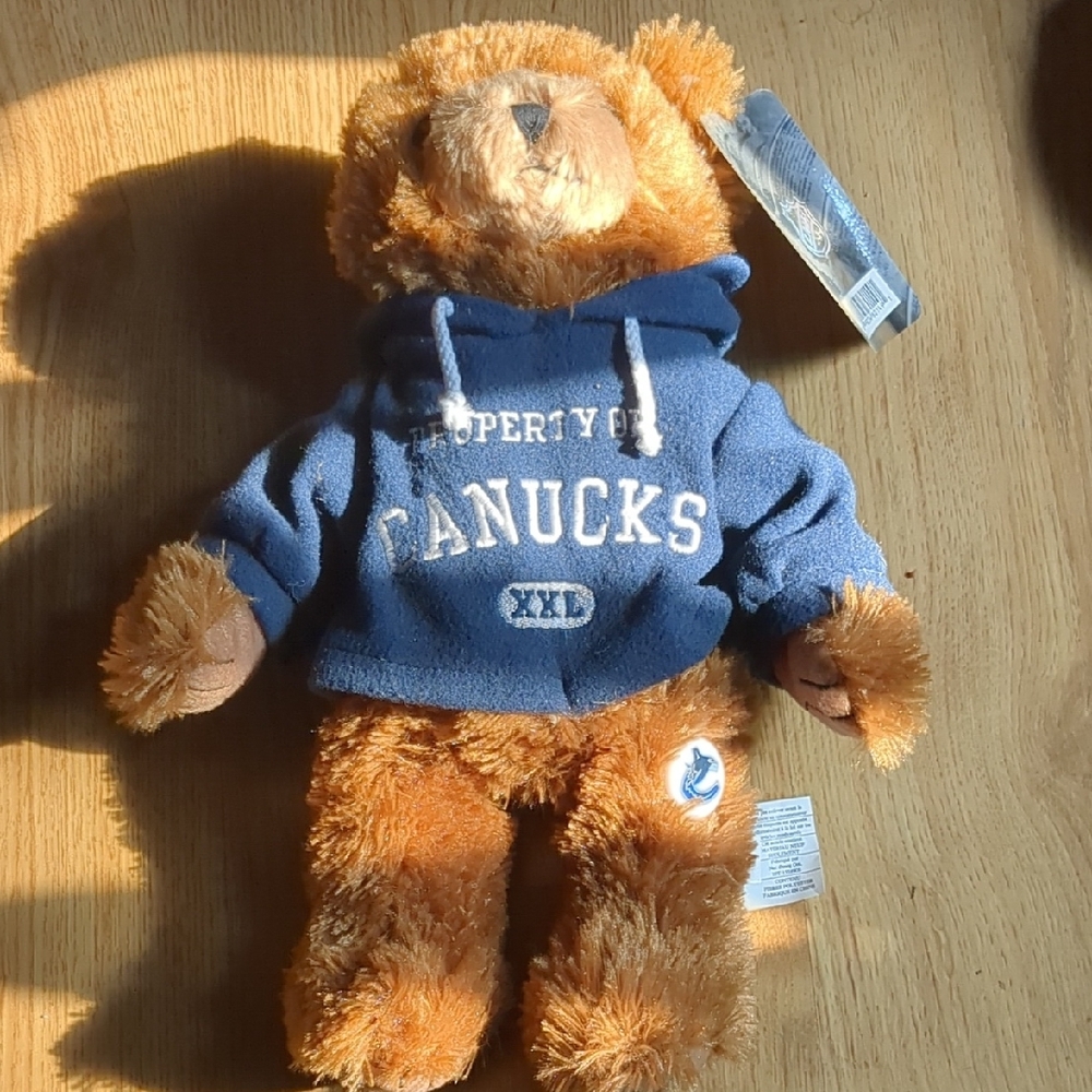 H&M Teddy Bear with Blue Hoodie